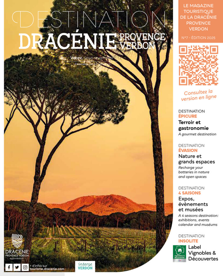 destination-dracenie